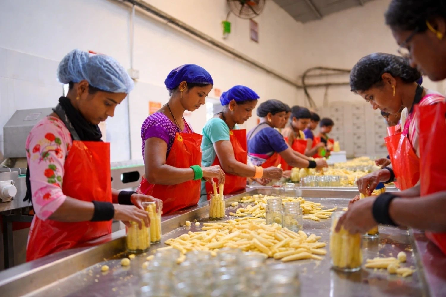Baby Corn Production Line