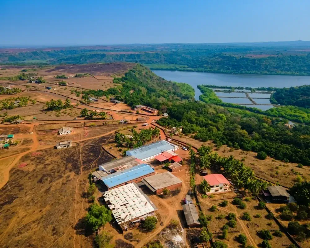 Devgad Agro Foods Facility